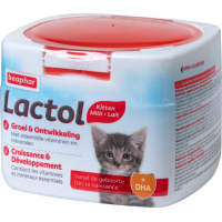 Latte in polvere per gattini: che cos'è e come usarlo